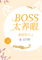 BOSS太养眼