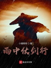 雨中仗剑行